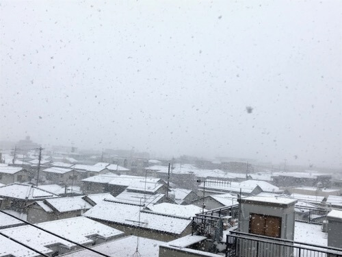 関東の雪