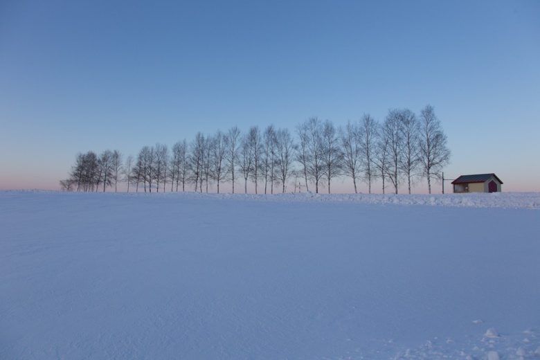 北海道スキー場、積雪情報