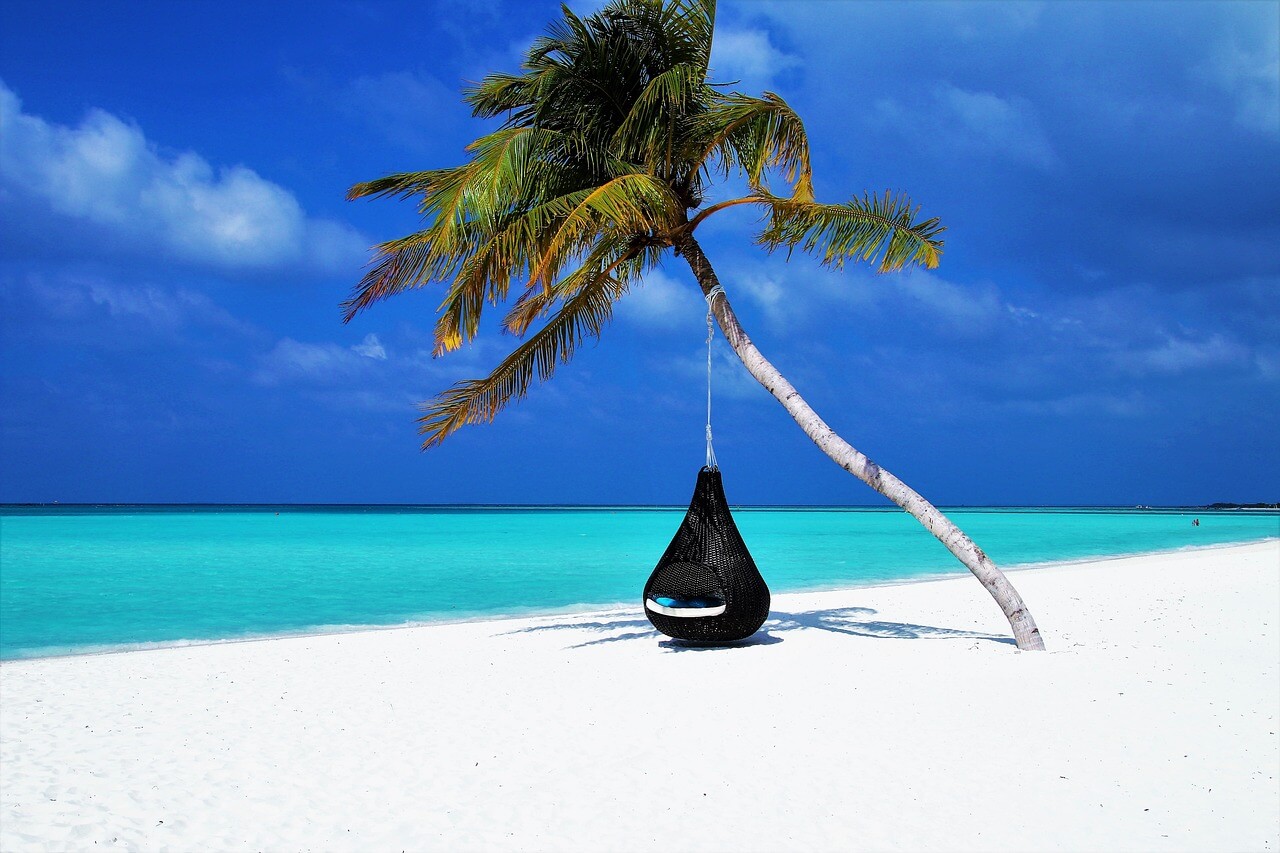 maldives, palm tree, hammock